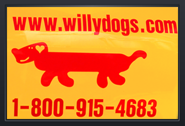 caption for image1 willydog